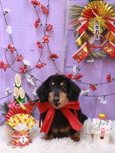 20230123マーブルくん